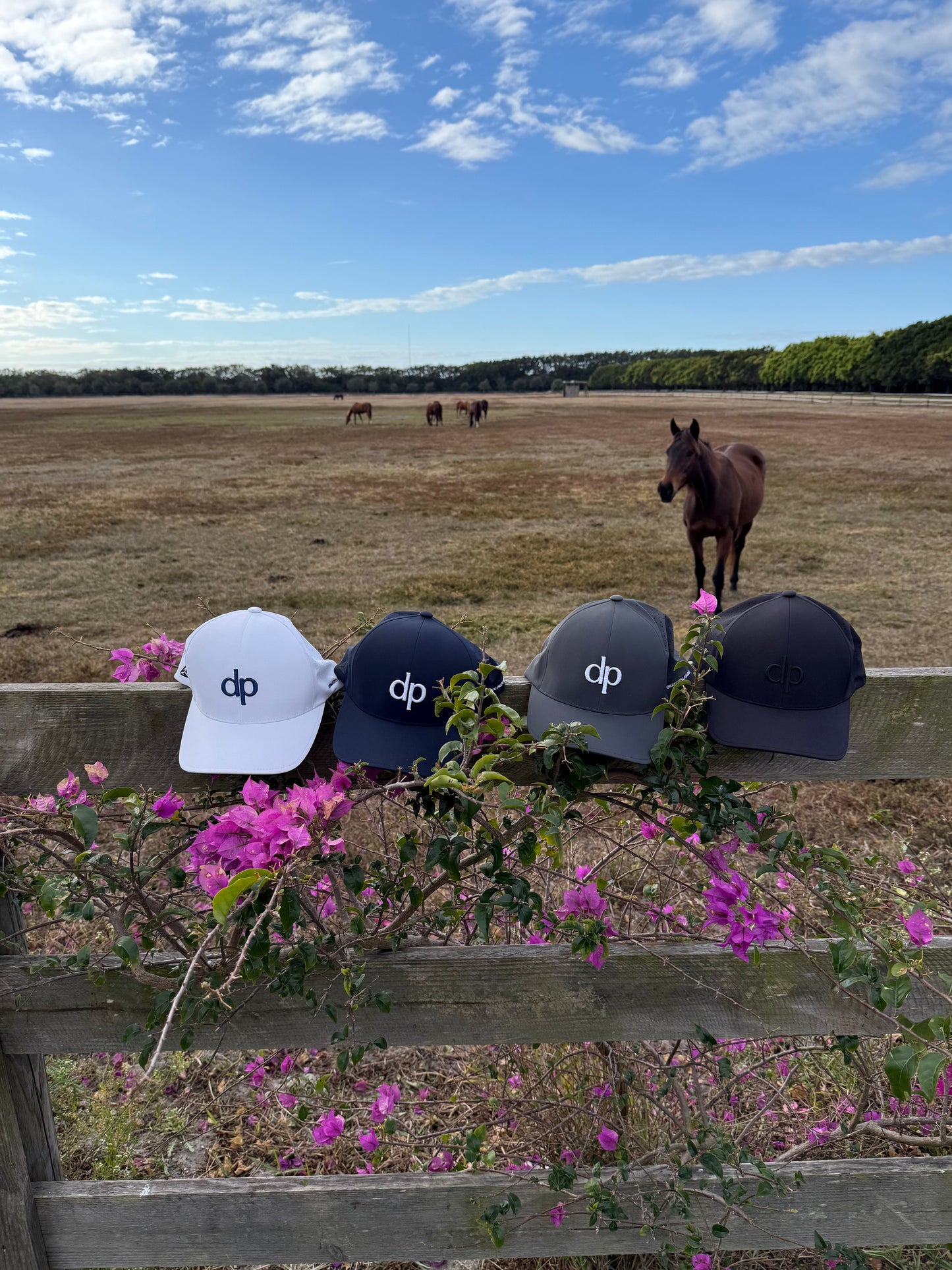 Donato Palangio white, navy, grey, and black tech hats with embroidered dp logo